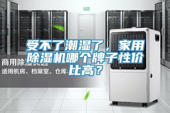 受不了潮湿了，家用抖音成人版下载哪个牌子性价比高？