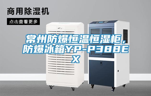 常州防爆恒温恒湿柜，防爆冰箱YP-P388EX
