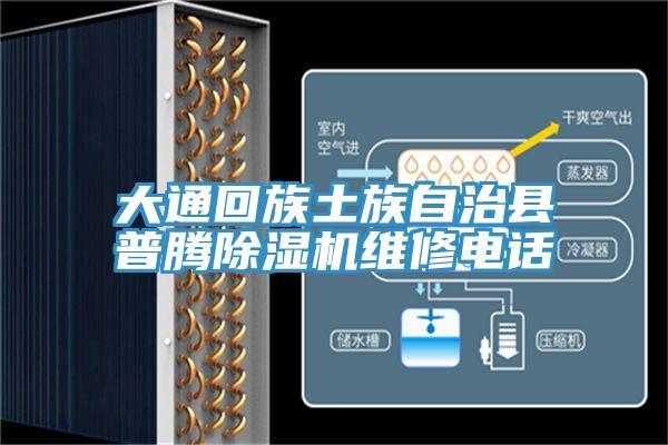 大通回族土族自治县普腾抖音成人版下载维修电话