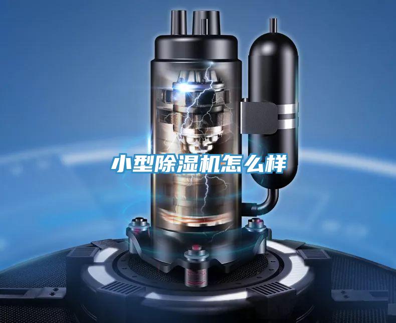 小型抖音成人版下载怎么样