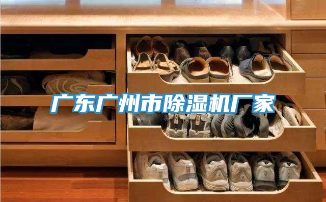 广东广州市抖音成人版下载厂家