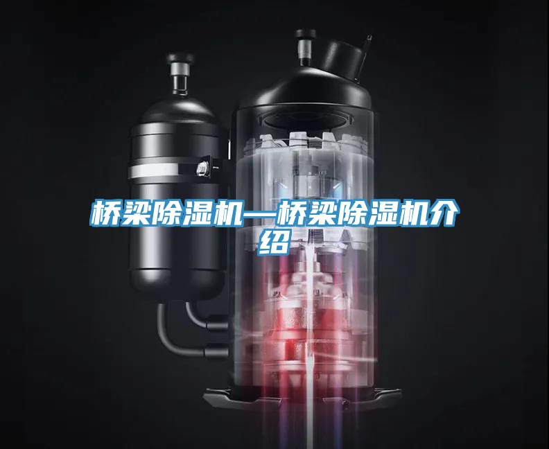 桥梁抖音成人版下载—桥梁抖音成人版下载介绍