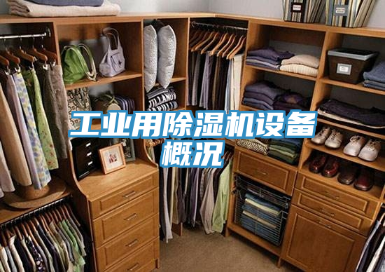 工业用抖音成人版下载设备概况