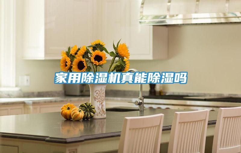 家用抖音成人版下载真能除湿吗