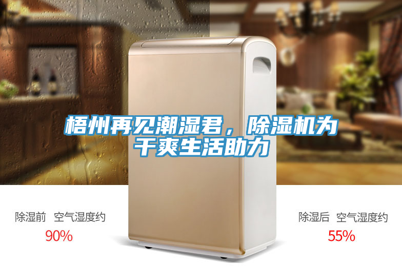 梧州再见潮湿君，抖音成人版下载为干爽生活助力