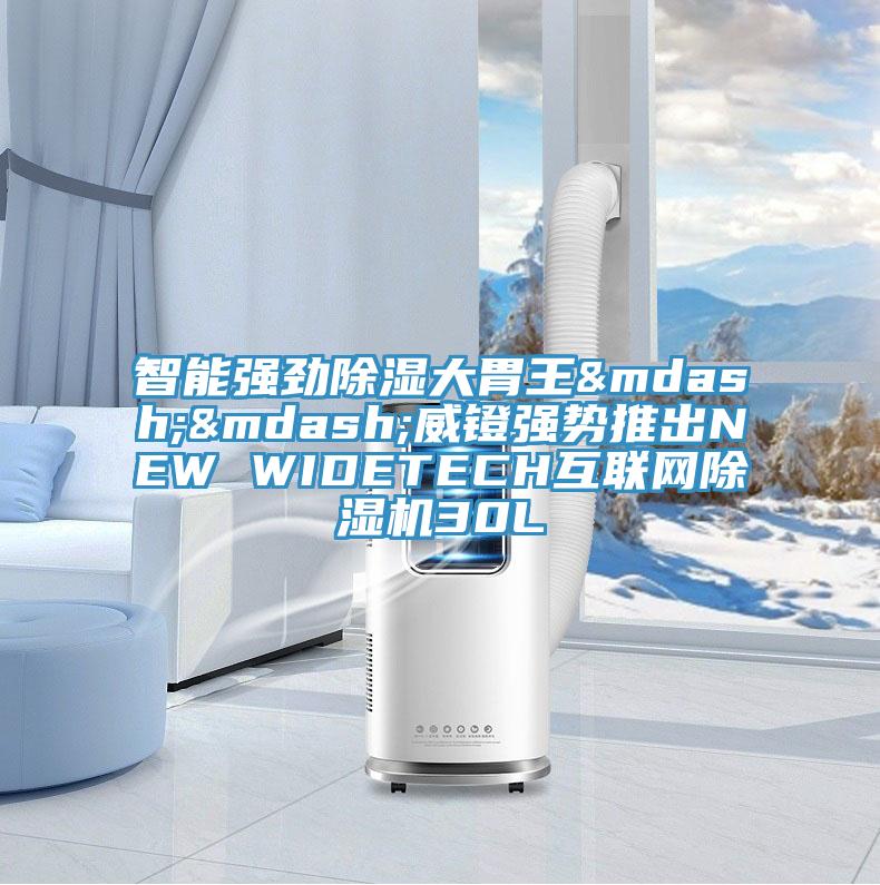 智能强劲除湿大胃王&mdash;&mdash;威镫强势推出NEW WIDETECH互联网抖音成人版下载30L