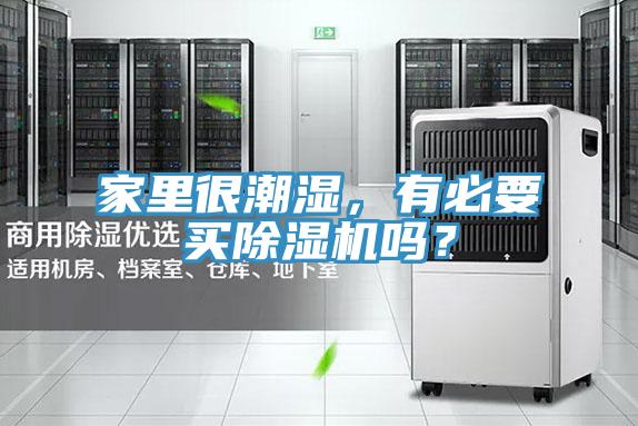 家里很潮湿，有必要买抖音成人版下载吗？