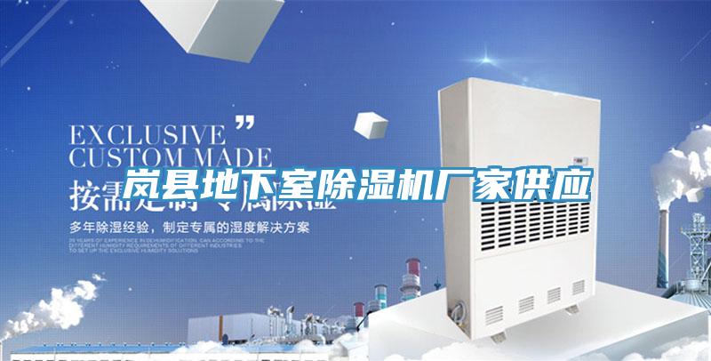 岚县地下室抖音成人版下载厂家供应