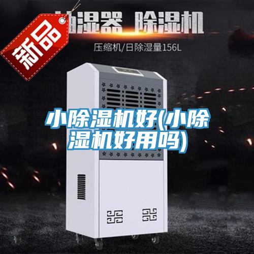 小抖音成人版下载好(小抖音成人版下载好用吗)