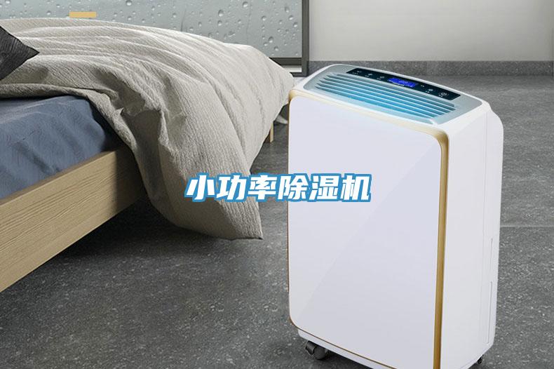 小功率抖音成人版下载