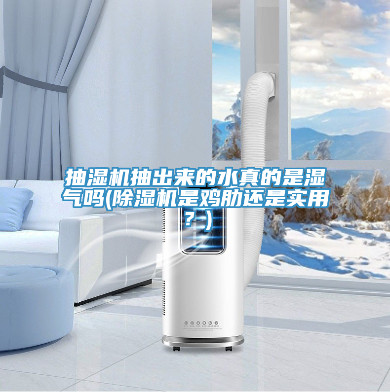 抽湿机抽出来的水真的是湿气吗(抖音成人版下载是鸡肋还是实用？)