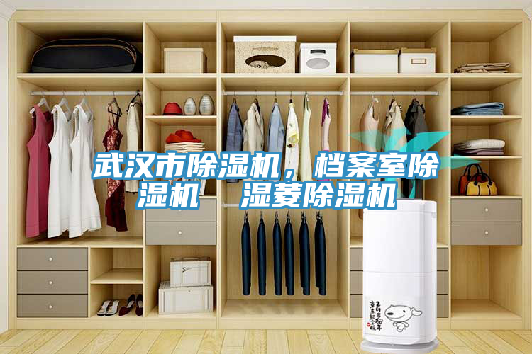 武汉市抖音成人版下载，档案室抖音成人版下载  湿菱抖音成人版下载