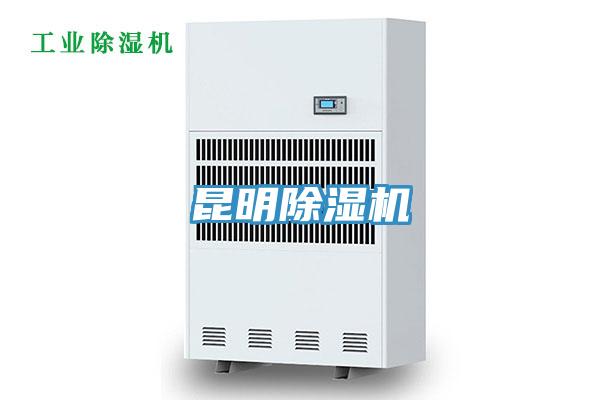 昆明抖音成人版下载