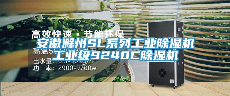 安徽滁州SL系列工业抖音成人版下载工业级9240C抖音成人版下载