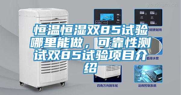 恒温恒湿双85试验哪里能做，可靠性测试双85试验项目介绍