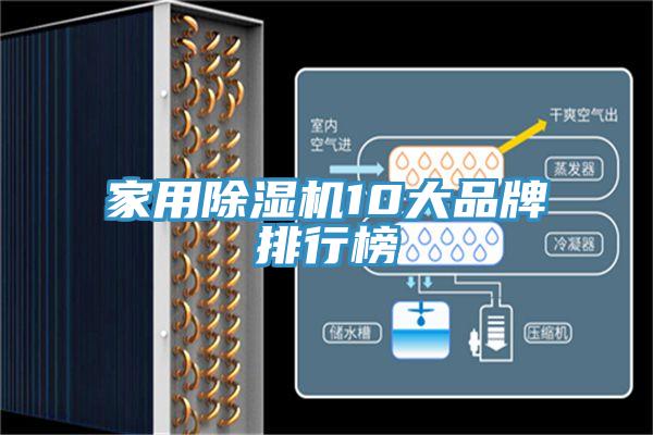 家用抖音成人版下载10大品牌排行榜