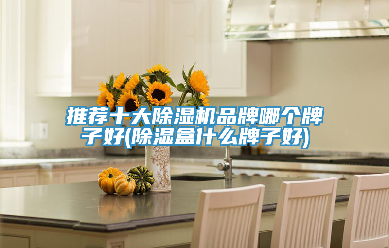 推荐十大抖音成人版下载品牌哪个牌子好(除湿盒什么牌子好)