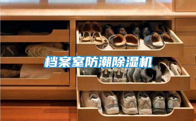 档案室防潮抖音成人版下载