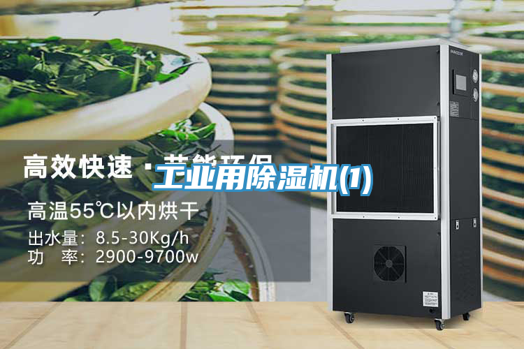 工业用抖音成人版下载(1)