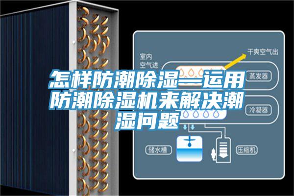 怎样防潮除湿—运用防潮抖音成人版下载来解决潮湿问题