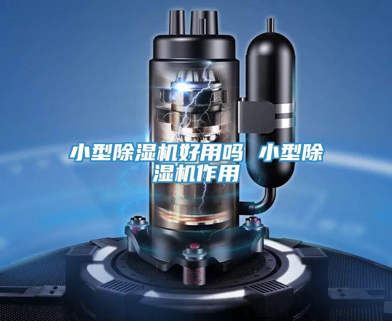 小型抖音成人版下载好用吗 小型抖音成人版下载作用