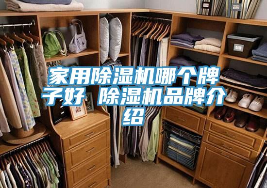 家用抖音成人版下载哪个牌子好 抖音成人版下载品牌介绍