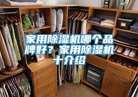 家用抖音成人版下载哪个品牌好？家用抖音成人版下载十介绍