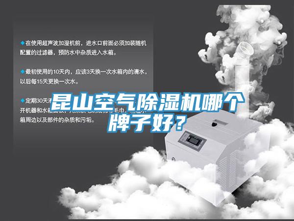 昆山空气抖音成人版下载哪个牌子好？