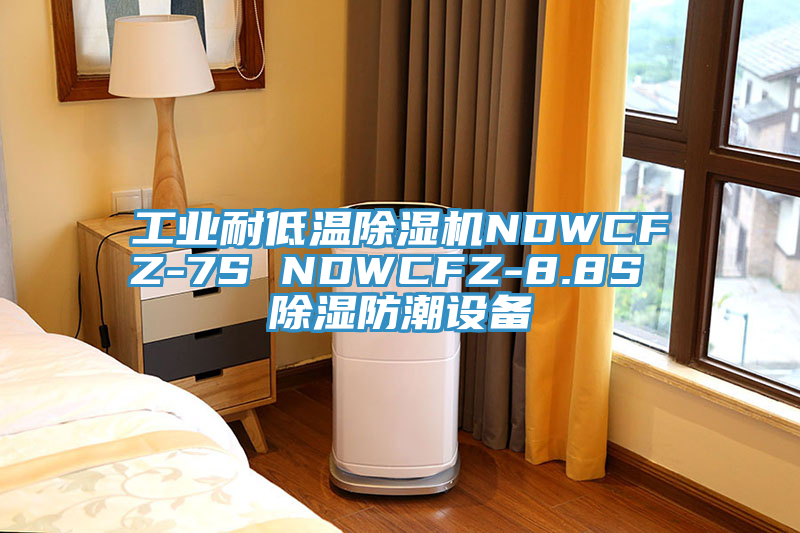 工业耐低温抖音成人版下载NDWCFZ-7S NDWCFZ-8.8S 除湿防潮设备