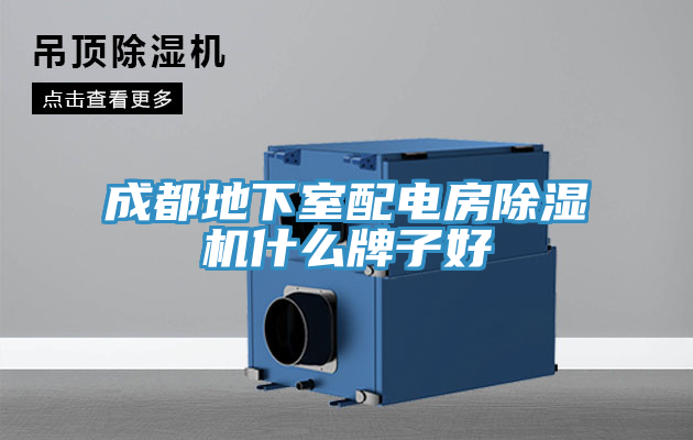 成都地下室配电房抖音成人版下载什么牌子好