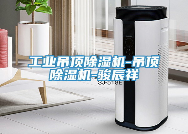 工业吊顶抖音成人版下载-吊顶抖音成人版下载-骏辰祥