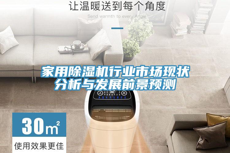 家用抖音成人版下载行业市场现状分析与发展前景预测