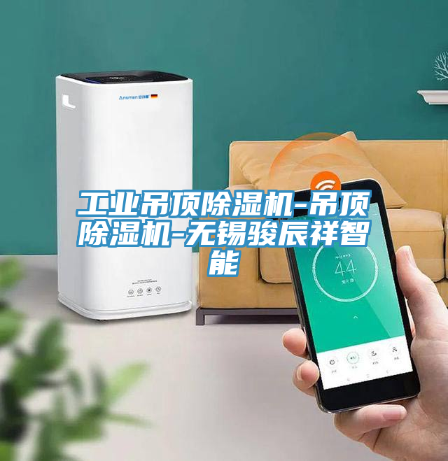 工业吊顶抖音成人版下载-吊顶抖音成人版下载-无锡骏辰祥智能