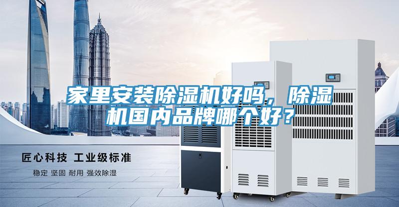 家里安装抖音成人版下载好吗，抖音成人版下载国内品牌哪个好？