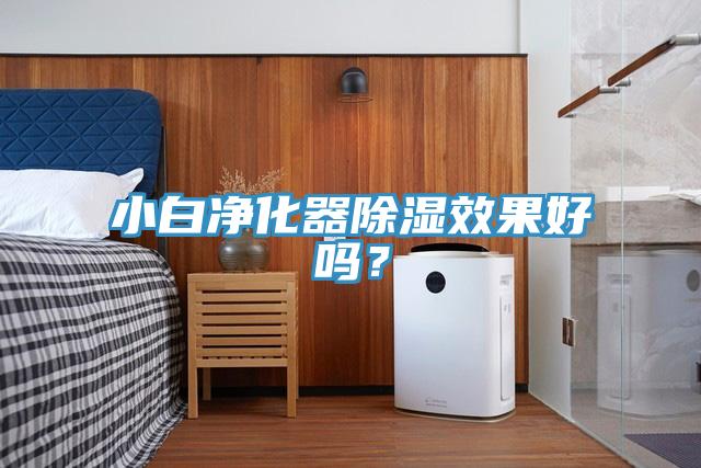 小白净化器除湿效果好吗？