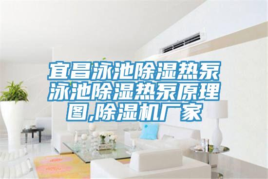 宜昌泳池除湿热泵泳池除湿热泵原理图,抖音成人版下载厂家