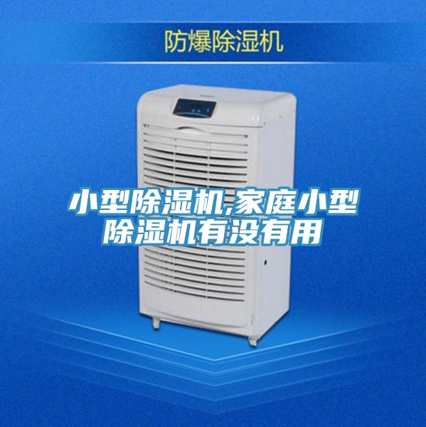 小型抖音成人版下载,家庭小型抖音成人版下载有没有用