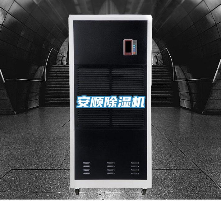 安顺抖音成人版下载