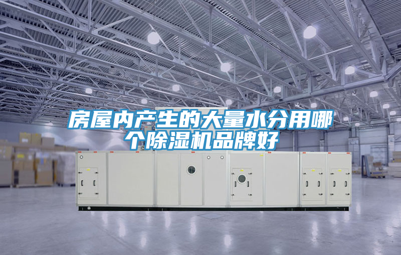 房屋内产生的大量水分用哪个抖音成人版下载品牌好