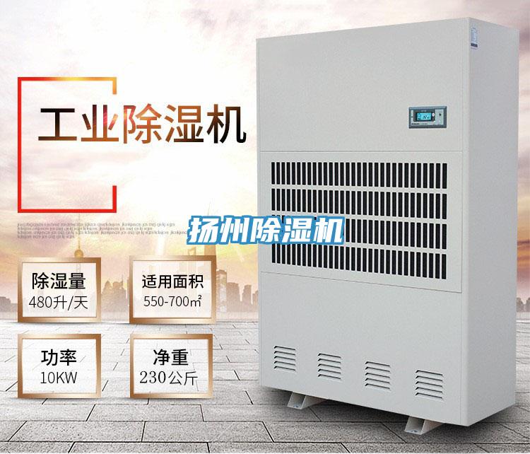 扬州抖音成人版下载