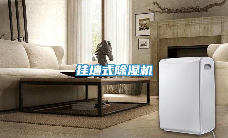 挂墙式抖音成人版下载