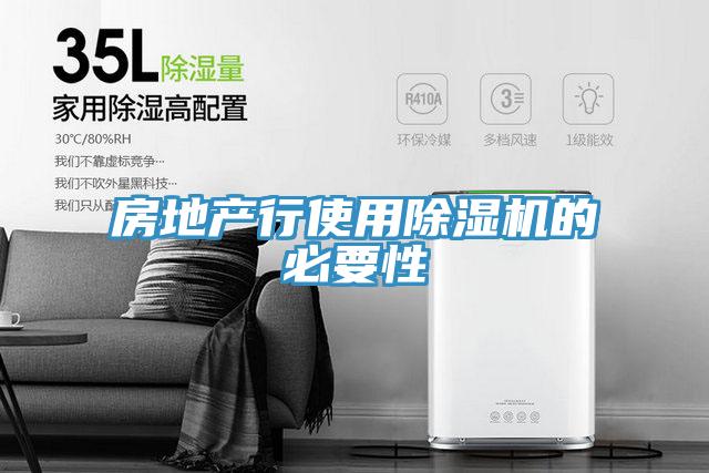 房地产行使用抖音成人版下载的必要性