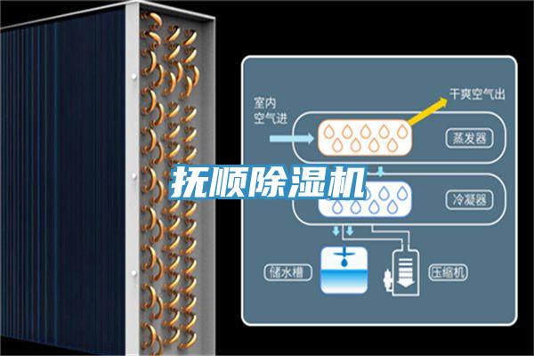 抚顺抖音成人版下载