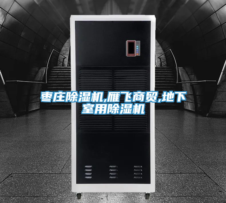 枣庄抖音成人版下载,雁飞商贸,地下室用抖音成人版下载