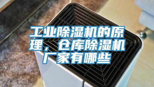 工业抖音成人版下载的原理，仓库抖音成人版下载厂家有哪些