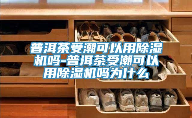 普洱茶受潮可以用抖音成人版下载吗-普洱茶受潮可以用抖音成人版下载吗为什么