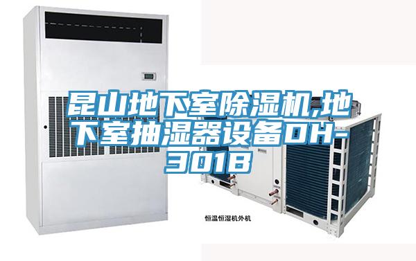 昆山地下室抖音成人版下载,地下室抽湿器设备DH-301B