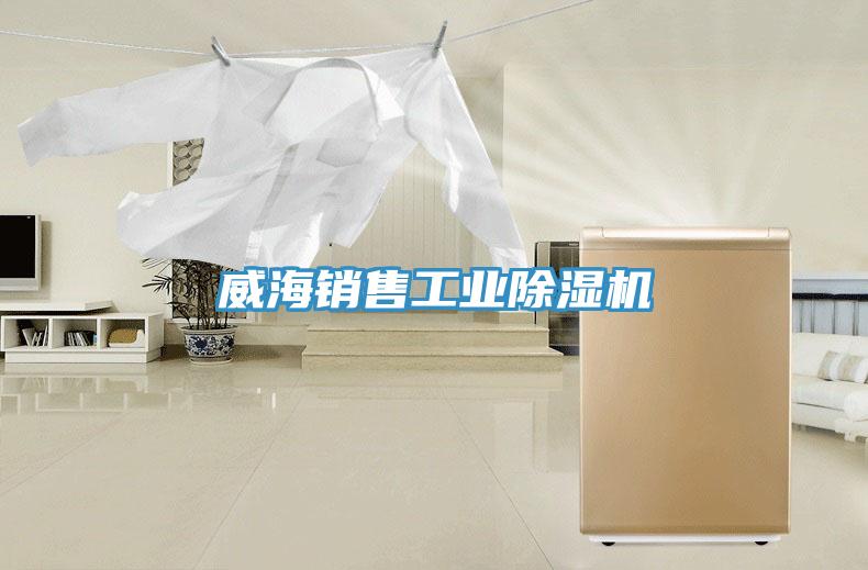 威海销售工业抖音成人版下载