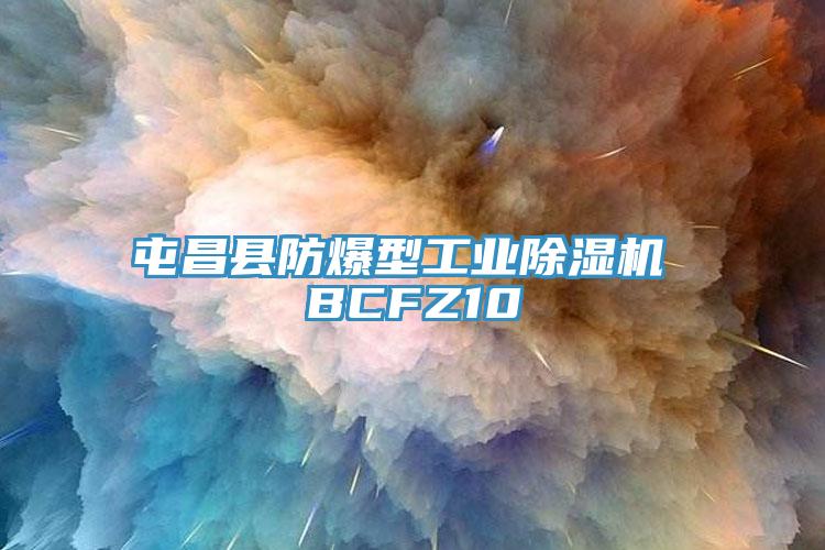 屯昌县防爆型工业抖音成人版下载 BCFZ10