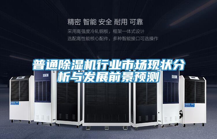 普通抖音成人版下载行业市场现状分析与发展前景预测